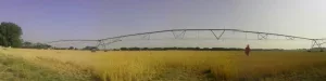 Unos dias en Castilla